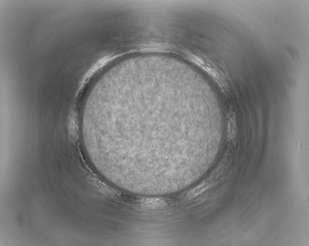 X0000114681454200912021105