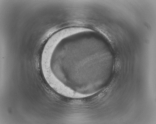 X0000114681455200912021105