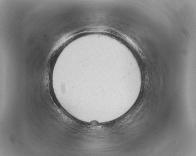 X0000114681456200912021105