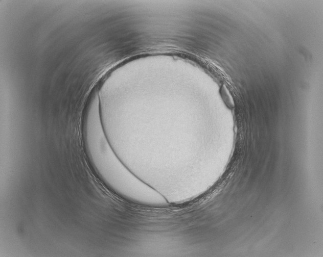 X0000114681457200912021105