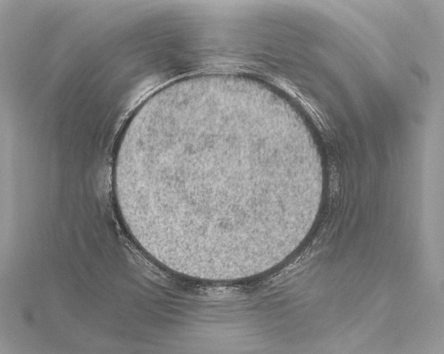 X0000114681459200912021105