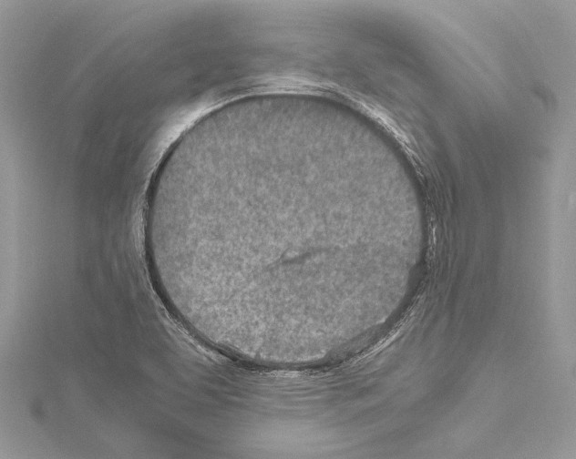 X0000114681463200912021105