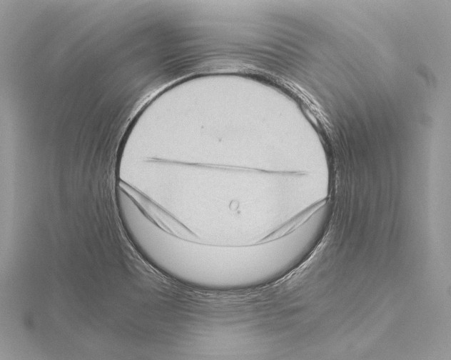 X0000114681465200912021105
