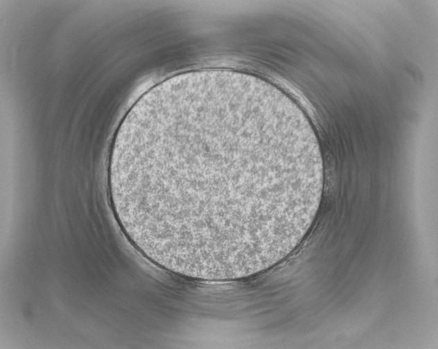 X0000114681483200912021105
