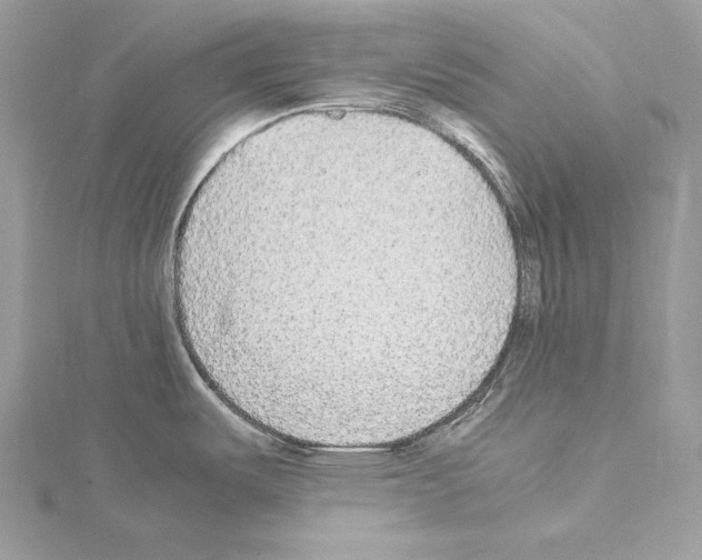 X0000114681487200912021104