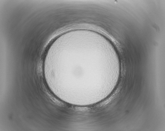 X0000114681498200912021104
