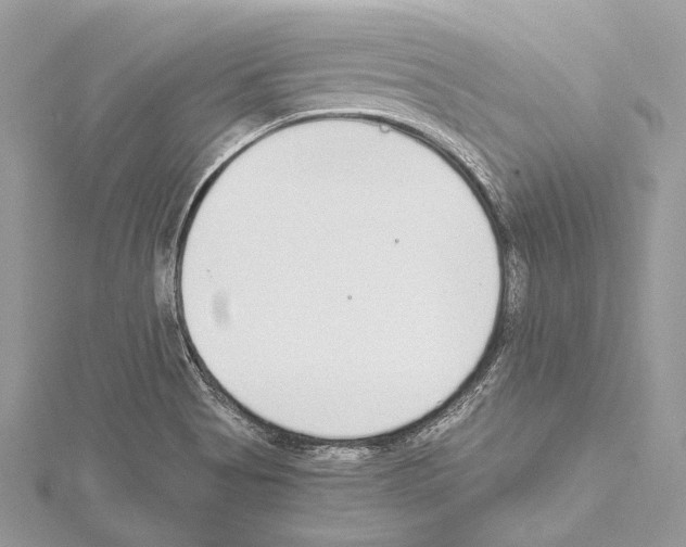 X0000114681513200912021104