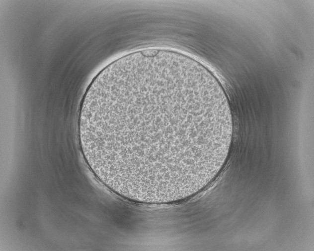 X0000114681534200912021104