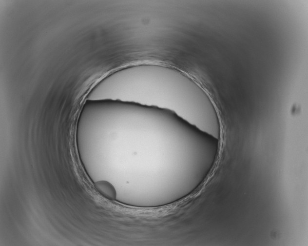 X0000114690001200910211104