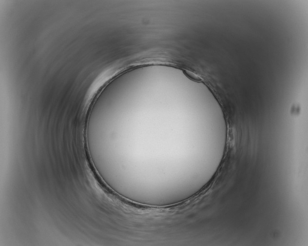 X0000114690004200910211104