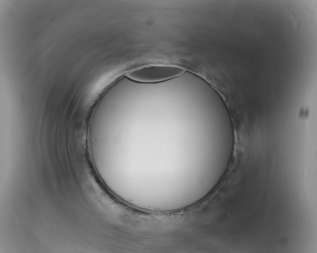 X0000114690005200910211104