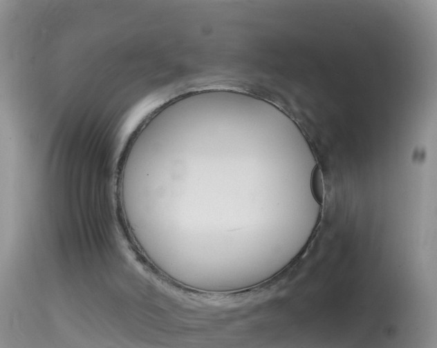 X0000114690006200910211104