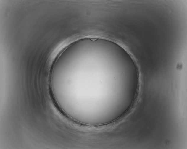 X0000114690007200910211104