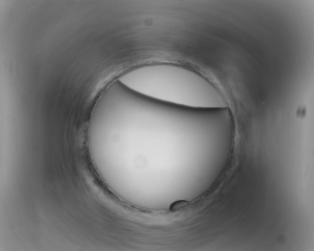 X0000114690010200910211104