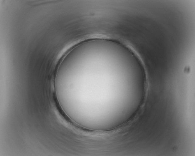 X0000114690011200910211104