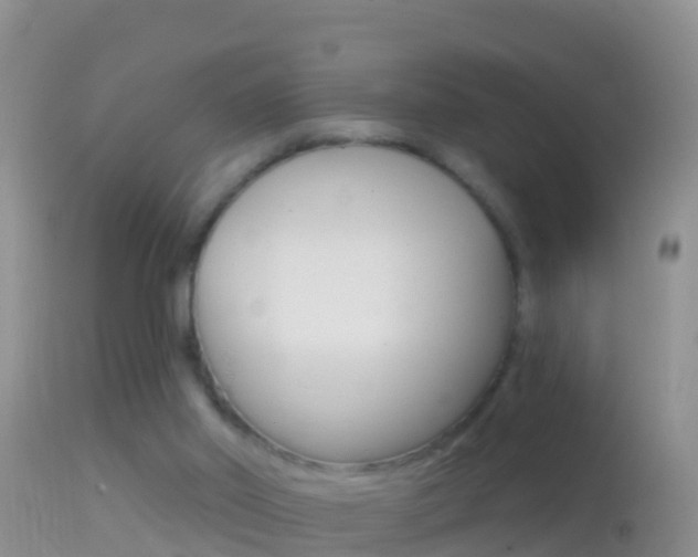 X0000114690014200910211104