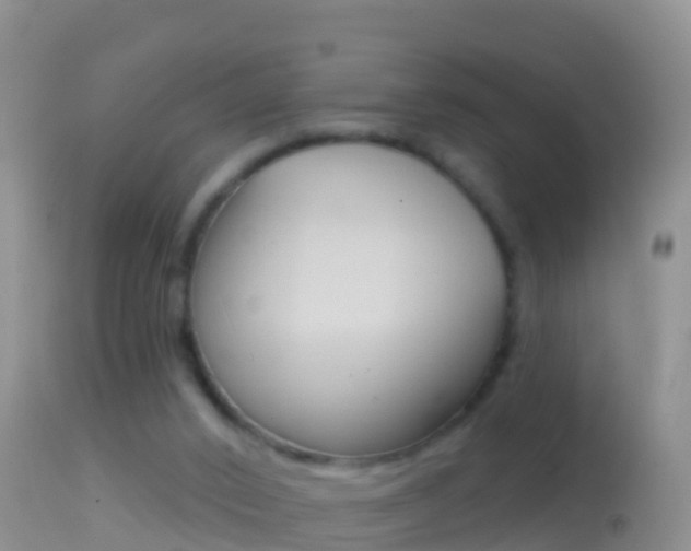 X0000114690016200910211104