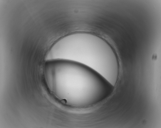 X0000114690017200910211104