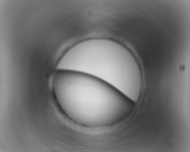 X0000114690019200910211104