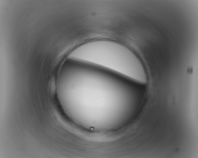 X0000114690020200910211104