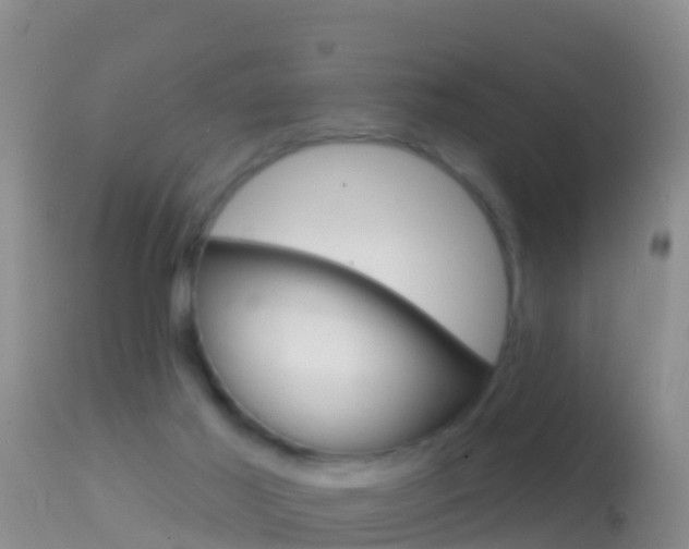 X0000114690021200910211104