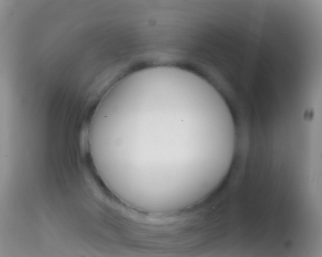 X0000114690022200910211104