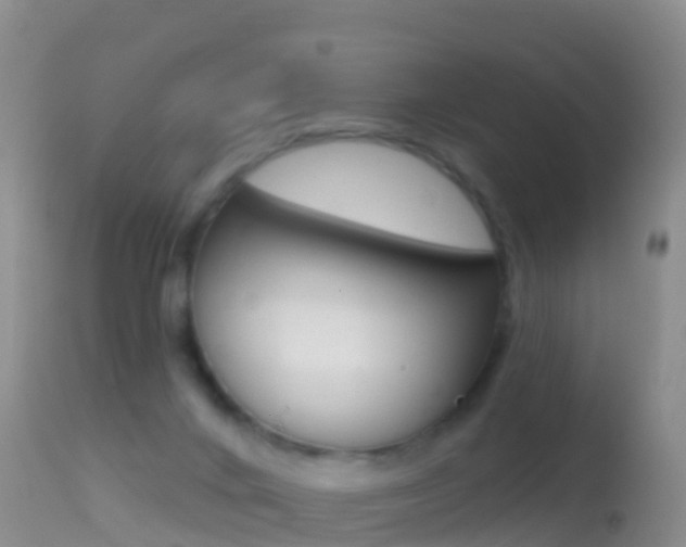 X0000114690024200910211104