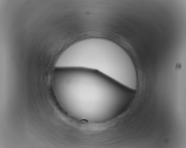 X0000114690025200910211104