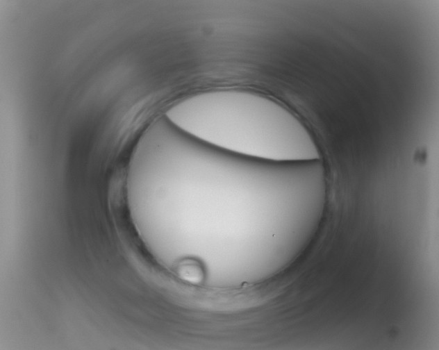 X0000114690026200910211104