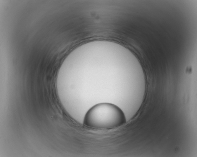 X0000114690029200910211104