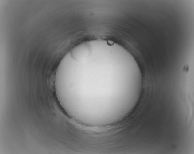 X0000114690030200910211104