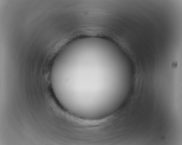 X0000114690031200910211104
