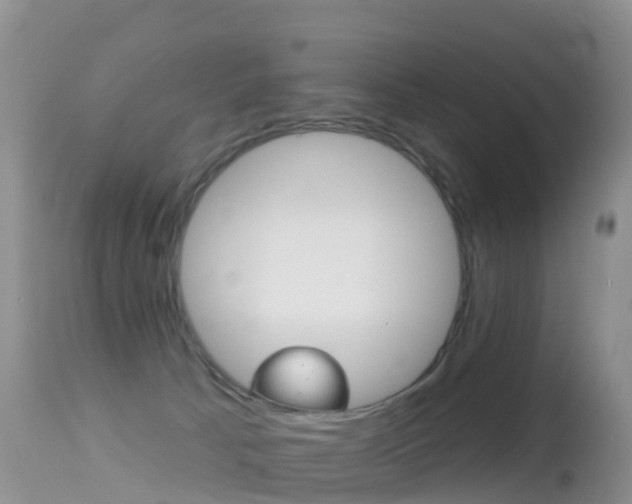 X0000114690033200910211104