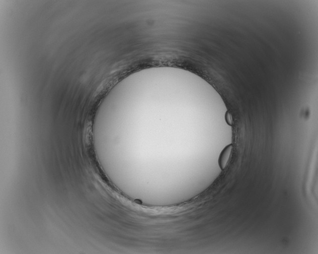 X0000114690038200910211104