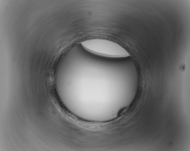 X0000114690040200910211104