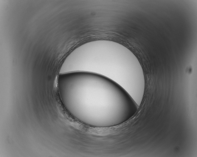 X0000114690041200910211104