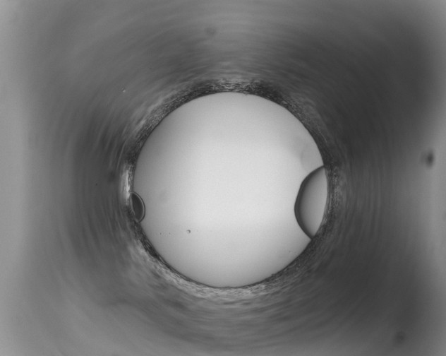 X0000114690042200910211104