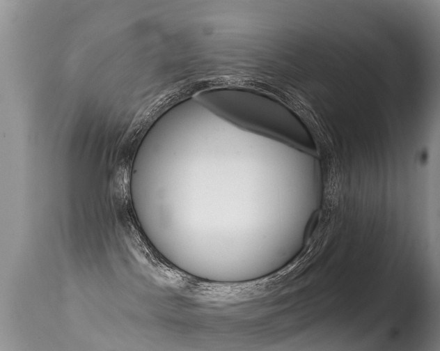 X0000114690045200910211104