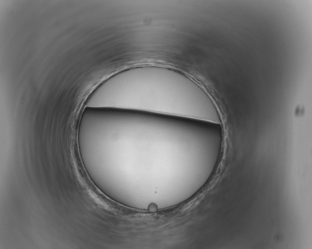 X0000114690049200910211103