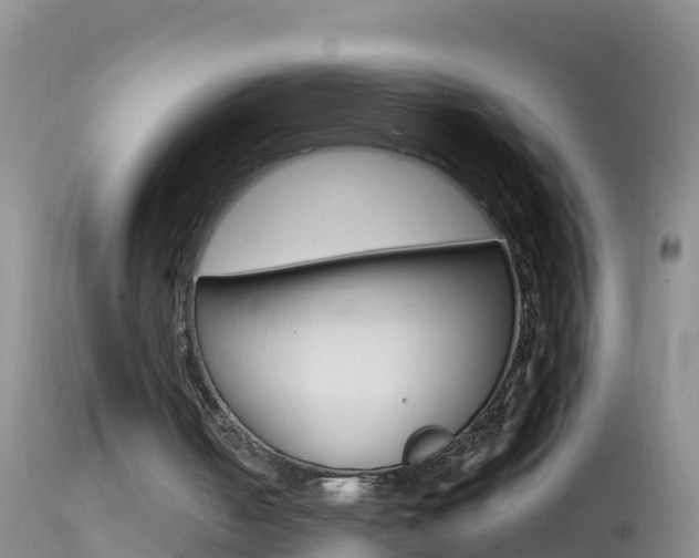 X0000114690050200910211103