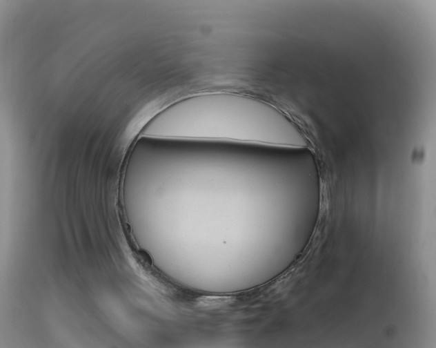 X0000114690051200910211103