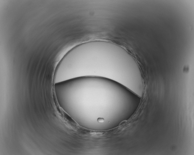 X0000114690052200910211103