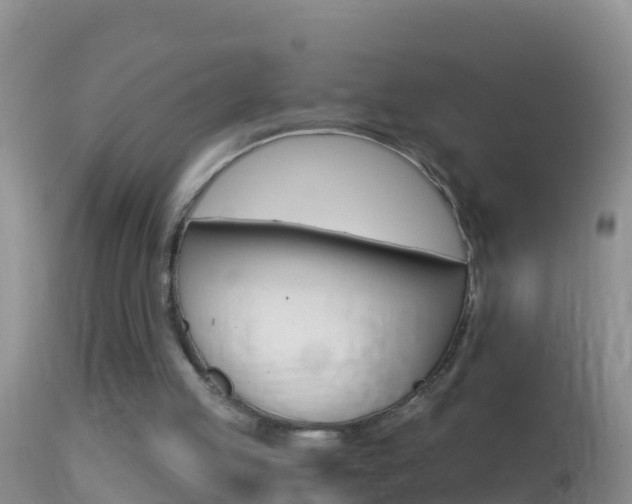 X0000114690053200910211103