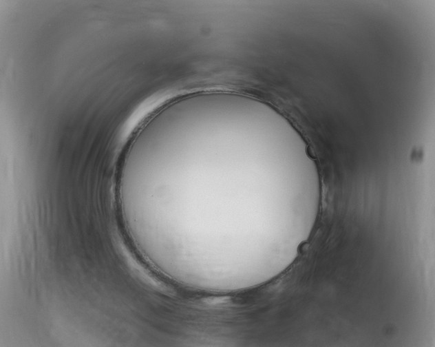 X0000114690054200910211103