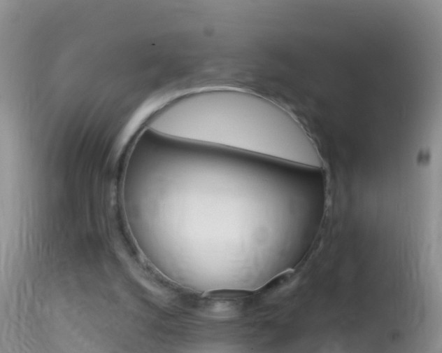 X0000114690056200910211103