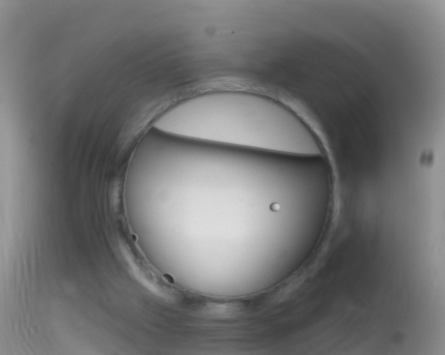 X0000114690057200910211103