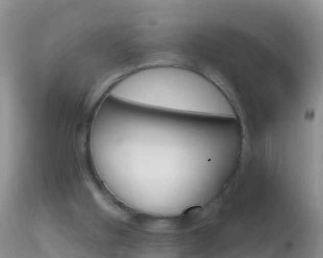 X0000114690058200910211103