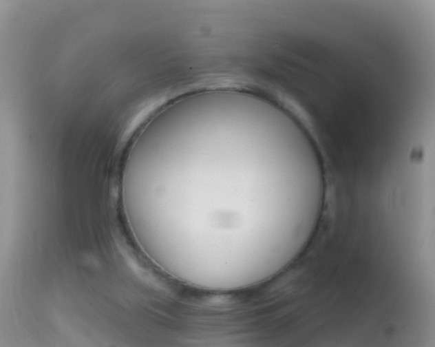 X0000114690059200910211103