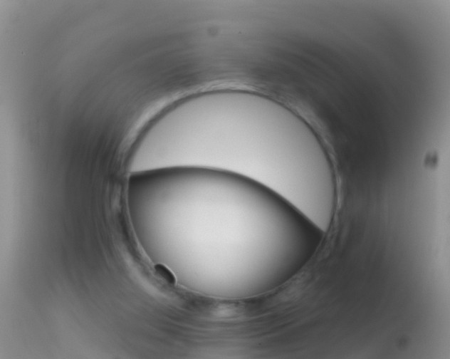 X0000114690060200910211103
