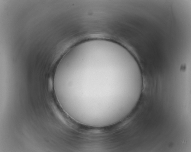 X0000114690061200910211103